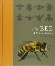 Cover art for The Bee: A Natural History