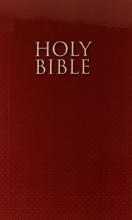 Cover art for NIrV, Holy Bible for ESL Readers, Paperback, Red