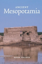 Cover art for Ancient Mesopotamia (Case Studies in Early Societies)
