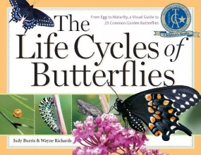 Cover art for The Life Cycles of Butterflies: From Egg to Maturity, a Visual Guide to 23 Common Garden Butterflies