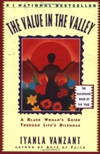 Cover art for The Value in the Valley: A Black Woman's Guide Through Life's Dilemmas