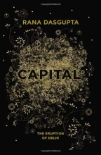 Cover art for Capital: The Eruption of Delhi