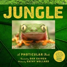 Cover art for Jungle: A Photicular Book