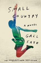 Cover art for Small Country: A Novel