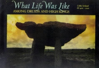 Cover art for What Life Was Like Among Druids And High Kings (Celtic Ireland AD 400-1200)