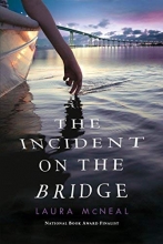 Cover art for The Incident on the Bridge