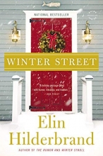 Cover art for Winter Street: A Novel
