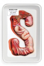 Cover art for S: Es (Ring Trilogy)