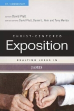 Cover art for Exalting Jesus In James (Christ-Centered Exposition Commentary)