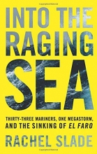 Cover art for Into the Raging Sea: Thirty-Three Mariners, One Megastorm, and the Sinking of El Faro
