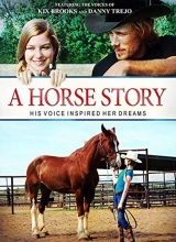 Cover art for A Horse Story