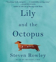 Cover art for Lily and the Octopus