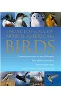 Cover art for Encyclopedia of North American Birds