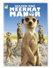 Cover art for Meerkat Manor - Season 1