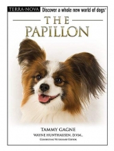 Cover art for The Papillon