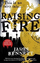 Cover art for Raising Fire (A Ben Garston Novel)
