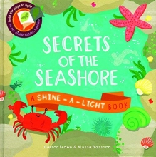 Cover art for Secrets of the Seashore (Shine-A-Light Book)