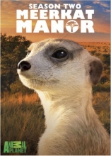 Cover art for Meerkat Manor, Season 2