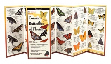 Cover art for Common Butterflies of Florida: Folding Guide (Foldingguides)