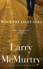 Cover art for When the Light Goes: A Novel
