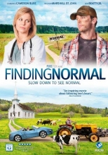 Cover art for Finding Normal