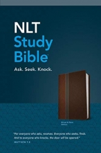 Cover art for NLT Study Bible, TuTone