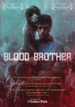 Cover art for Blood Brother