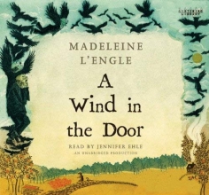Cover art for A Wind in the Door  (Time Quintet)