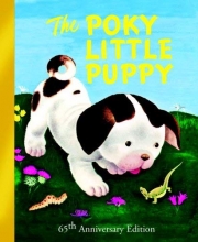 Cover art for The Poky Little Puppy Special Anniversary Edition LGB (Special Edition Little Golden Book)