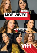 Cover art for Mob Wives: Season 3 