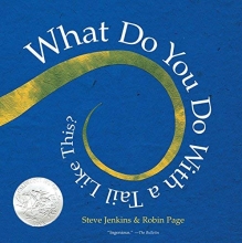 Cover art for What Do You Do with a Tail Like This?