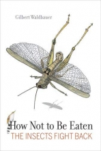 Cover art for How Not to Be Eaten: The Insects Fight Back