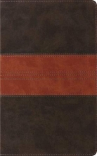 Cover art for ESV Thinline Bible (TruTone, Forest/Tan, Trail Design)