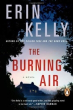 Cover art for The Burning Air: A Novel