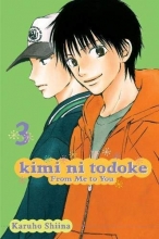 Cover art for Kimi ni Todoke: From Me to You, Vol. 3
