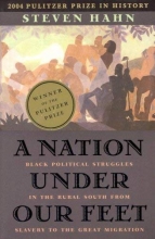 Cover art for A Nation Under Our Feet: Black Political Struggles in the Rural South from Slavery to the Great Migration