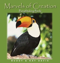 Cover art for Breathtaking Birds (Marvels of Creation)