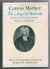 Cover art for The Angel of Bethesda: An Essay upon the Common Maladies of Mankind