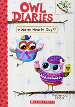 Cover art for Warm Hearts Day: A Branches Book (Owl Diaries #5)