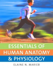 Cover art for Essentials of Human Anatomy & Physiology