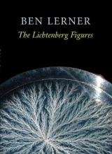 Cover art for The Lichtenberg Figures (Hayden Carruth Award for New and Emerging Poets)
