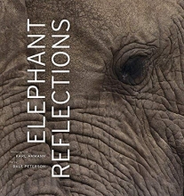 Cover art for Elephant Reflections