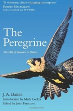 Cover art for The Peregrine