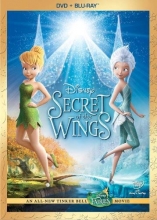 Cover art for Secret Of The Wings 