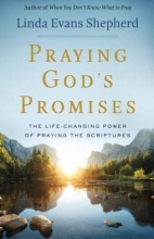 Cover art for Praying God's Promises: The Life-Changing Power of Praying the Scriptures