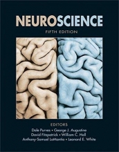 Cover art for Neuroscience, Fifth Edition