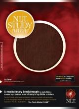 Cover art for NLT Study Bible, TuTone