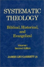 Cover art for Systematic Theology: Biblical, Historical, and Evangelical (v. 1)