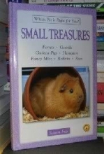 Cover art for In Serena's Web (Hagen)