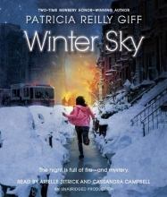 Cover art for Winter Sky